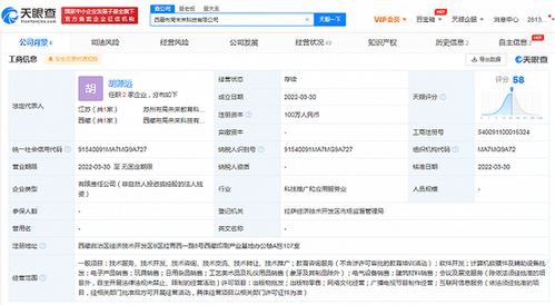 新东方拓展西藏市场 成立互联网销售子公司，注册资本100万元