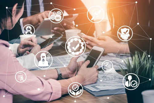 监管入场李佳琦持证上岗 互联网销售迎规范化新篇章